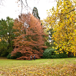 [2010] Autumn in Leuven
