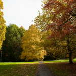 [2010] Autumn in Leuven