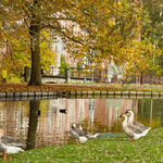 [2010] Autumn in Leuven