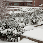 [2010] Winter in Belgium