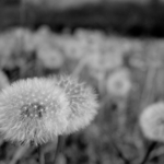 [2011] Inspired Clicks