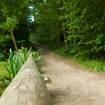 [2011] HalleBos, Belgium