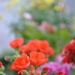 [2010] Inspired Clicks