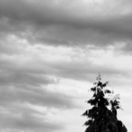 [2010] Inspired Clicks
