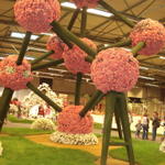 [2010 Apr] Flower Show, Ghent, Belgium